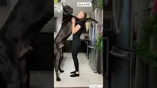 #lady #doglover