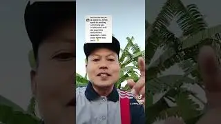 Tanya Jawab ; Teks Sholawat || Wasallam Apa Wasallim ???