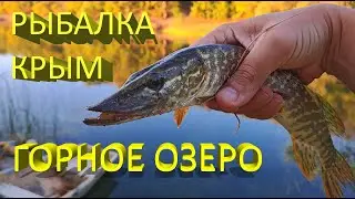 🔥 Поймал необычную ЗЕЛЕНУЮ ЩУКУ в горном озере. Рыбалка в одном из красивейших мест Крыма 🔥