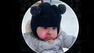 Подборка самых смешных роликов