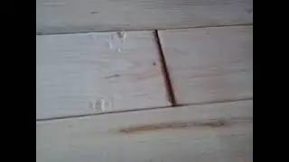 Стеновой паркет своими руками.