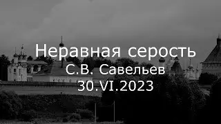 С.В. Савельев - Неравная серость