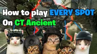 HOW TO PLAY EVERT SPOT: CT ANCIENT (CS2 Guide)