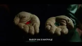 Цветочный онлайн-марафон. День 2. Мясо