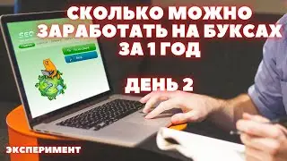 Заработок в интернете на буксах. Сколько можно заработать за 1 год. День 2.