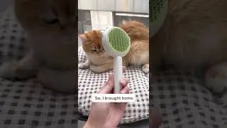 This is why you need this brush!