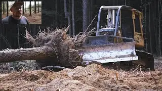 Electric, Water, Trails, 2 Acres, HUGE update - Day 80