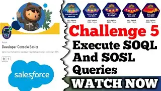 Execute SOQL and SOSL Queries || Developer Console Basics || Salesforce || Challenge 5