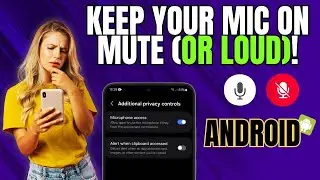 How to Enable/Disable Microphone Access to Apps on Android/Samsung Phone