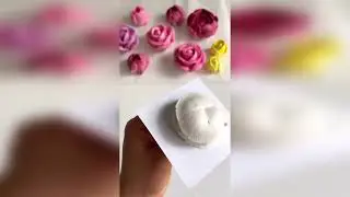 Отсадка и Окрашивание РОЗЫ и ФИАЛКИ из Зефира от @miss.zefirr🌹ROSE and VIOLE