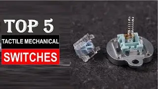 Best Tactile Mechanical Switches in 2024 - Top 5  Tactile Mechanical Switches  You can Buy {Reviews}