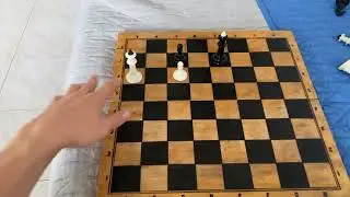 Тема выжидательный ход в шахматах. 