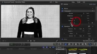 Final Cut Pro Effects - Mirror through Night Vision