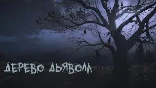 Старое Дерево Дьявола | Проклятое дерево! | Черный грузовик