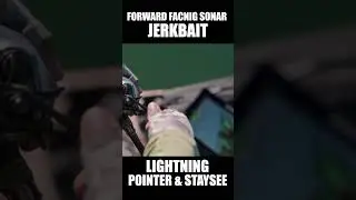 Forward Facing Sonar Jerking with Lightning Pointer & Staysee 【02, 03, 04, 05, 06, 07, 08, 09, 10】