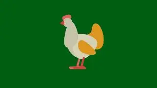 Animated Hen, Chicken Green Screen Adobe After Effects