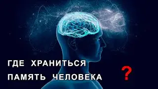 How is human memory organized? - you should know it