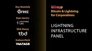 Lightning Infrastructure Panel