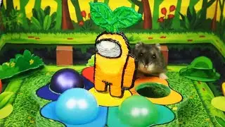 🐹 Among Us Hamster Maze | SECRET ROOMS in Among Us and more ....