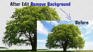 How to remove background on Photoshop in khmer #LACHPICH #pichdesign #Pichlach #lachpich