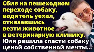 Юля решила спасти собаку ценой собственной мечты...Любовные истории Рассказ