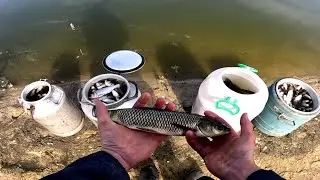Дождался!!! Полный ставок рыбы , Зарыбление пруда на участке толстолоб и амур