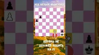 🏛️ ЭТЮД Полерио ХVI век #chess #chesspuzzle #chessgames