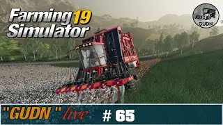 Landwirtschafts Simulator 19 - Livestream #65