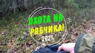 Охота на рябчиков  осень 2021