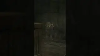 RE4 randomizer, why? 🙄🐕