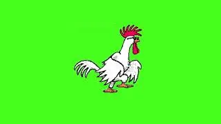 Chicken  Walking Green Screen HD 2020 | Green Screen Effects