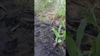 Красавица, ты что здесь делаешь