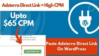 How To Paste Adsterra Direct Link On WordPress Website For High CPM
