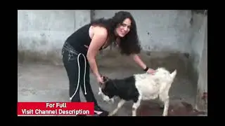 A Beautiful Girl Slaughter a chicken and goat | Chicken Slaughter