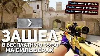 WHAT IS CREATED ON SILVER IN FREE CS: GO?