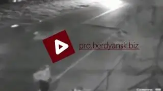 Водителя, покалечившего пешехода ДТП в Бердянске, задержали в Запорожье