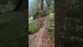 Nature😍🌳