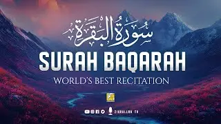 Surah Baqarah سورة البقره | Majestic Quran Recitation Heart Touching Relaxing Voice | Zikrullah TV