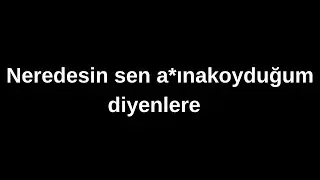 neredesin sen a*ınanakoyduğum diyenlere.