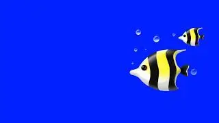 Copyright Free animated swimming fish Green Screen Effect | Chroma Key | Royalty Free♏