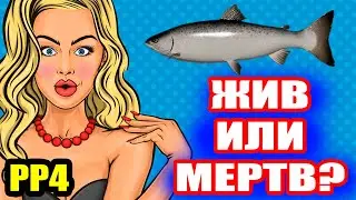Они КРИЧАЛИ, что АРХИП мертв! Я ПРОВЕРИЛ... ● Русская Рыбалка 4 | РР4