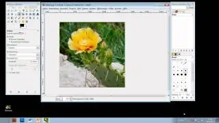 Gimp - Teil 1: Erste Schritte