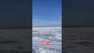 АлександрЭгромжан Держи меня земля. Хочется весны, тепла, солнышка #short #александрэгромжан#музыка