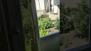 Лето, солнце, Жара!!, а я в мастерской, вентилятор спасает ))