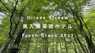 Oirase Keiryu Hotel | Oirase Stream Fresh Green 2023