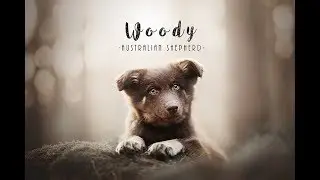 WOODY-New Family Member