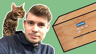I built a subscriber-controlled cat toy