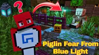 Piglins Fear From Blue Light? | Minecraft | Fact