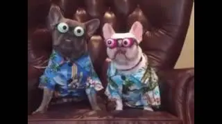 👀 👀 👀 👀
