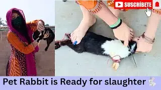 Pet Rabbit for slaughter | Slaughter by girl pre slaughter vlog